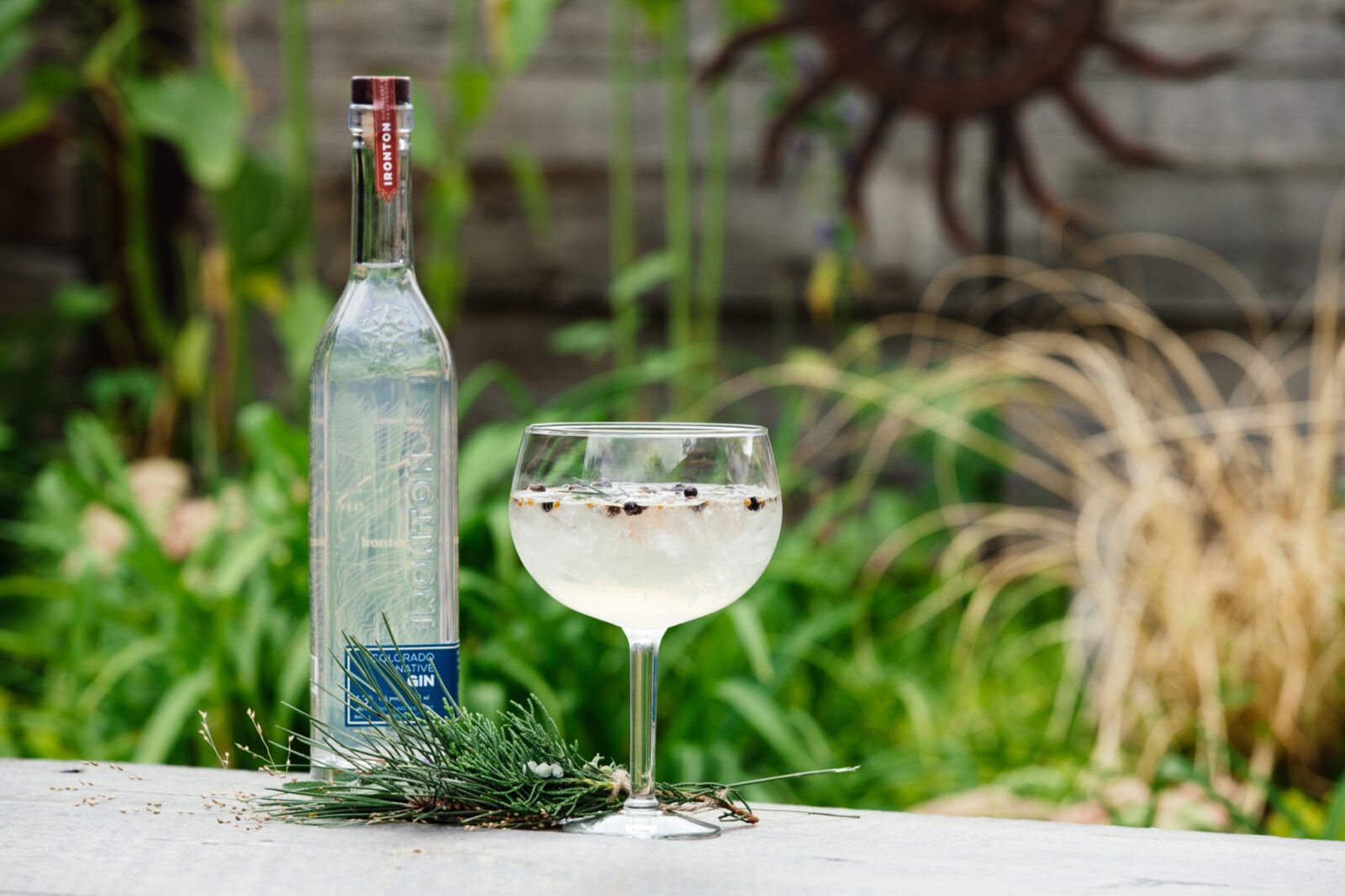 An Ironton bottle and a coupe glass on a garden table